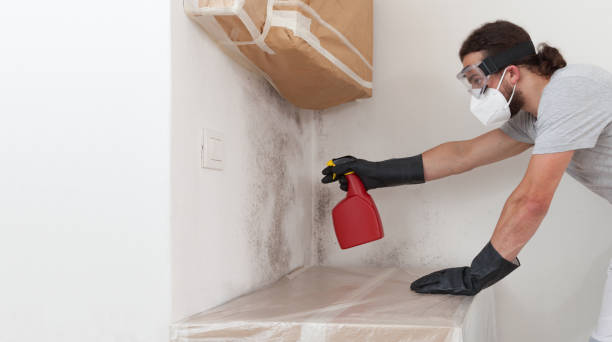 Professional Crawl Space Mold Removal technician working in Highland, NY