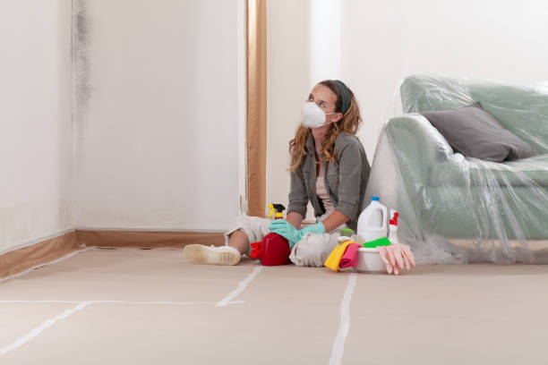Reliable Crawl Space Mold Removal contractor in Highland, NY by WQB Mold Removal